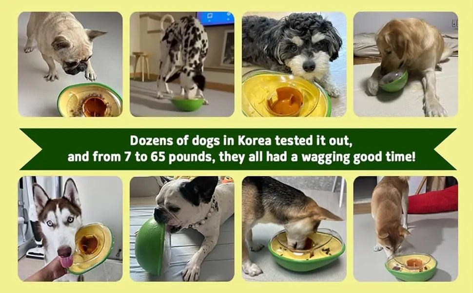 Avocado Training Pet Automatic Feeder Non-Spill Treat Dispensing Wobble Toys for Dogs cats slow feeder bowl