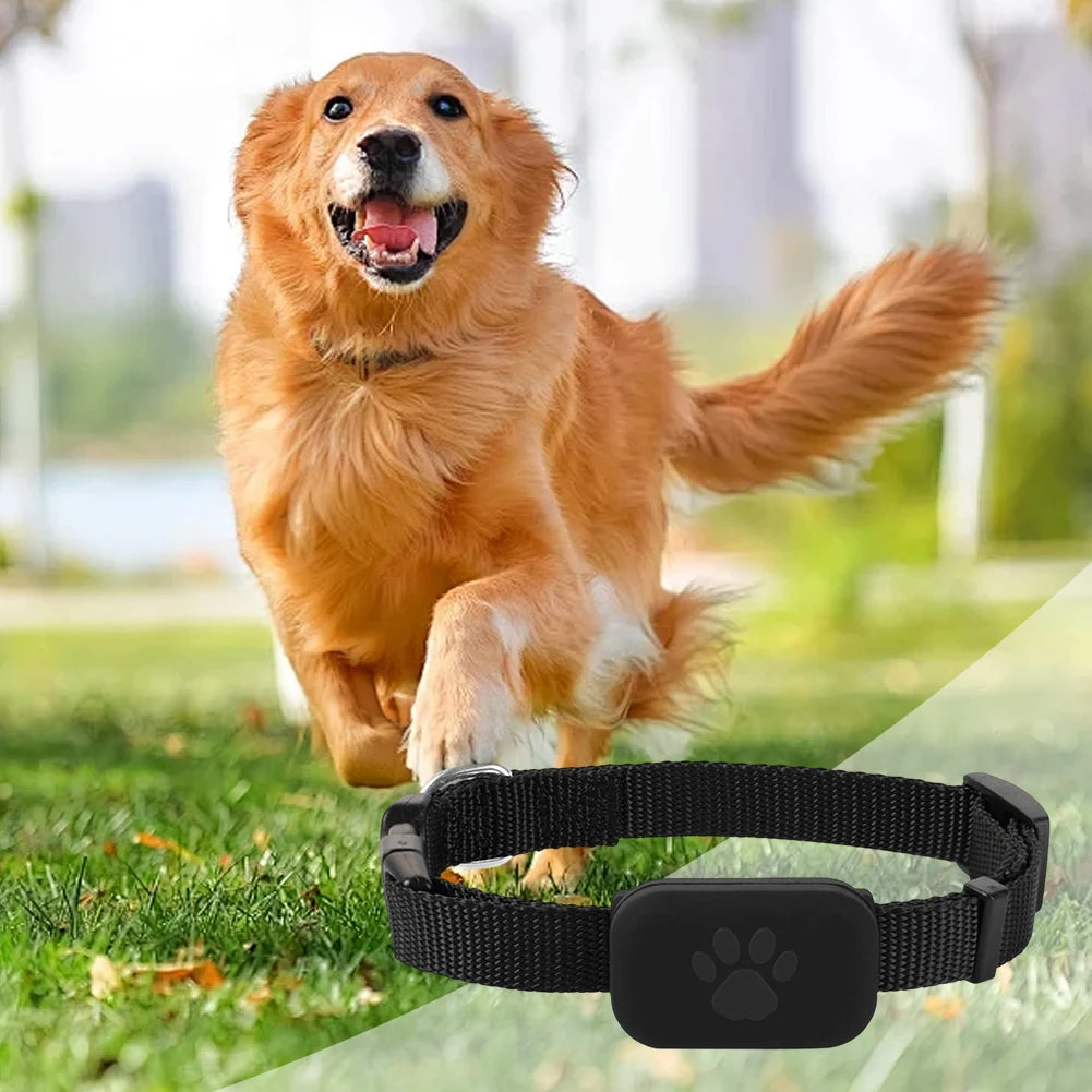 Pet GPS Tracker with Adjustable Collar Smart Pet Locator Cat Tracker for Dogs & Cats (Compatible with iOS/Android)