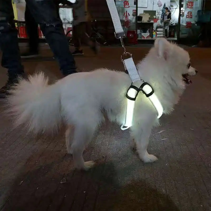 Outdoor Luminous Pet Supplies LED Luminous Dog Chest Harness Large Dog Traction Dog Walking Supplies To Prevent Getting Lost New