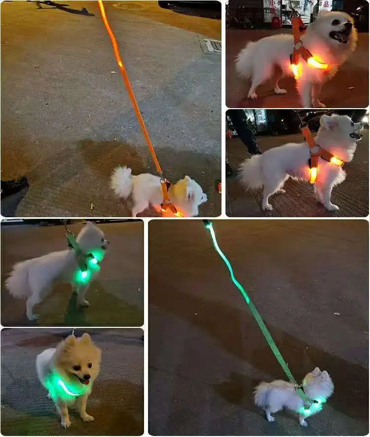 Outdoor Luminous Pet Supplies LED Luminous Dog Chest Harness Large Dog Traction Dog Walking Supplies To Prevent Getting Lost New