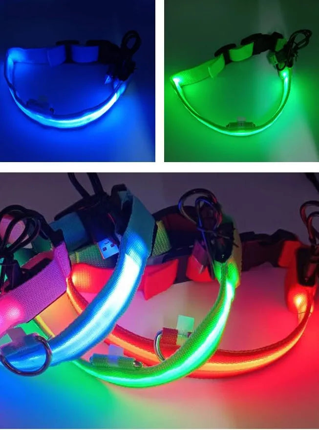 Outdoor Luminous Pet Supplies LED Luminous Dog Chest Harness Large Dog Traction Dog Walking Supplies To Prevent Getting Lost New