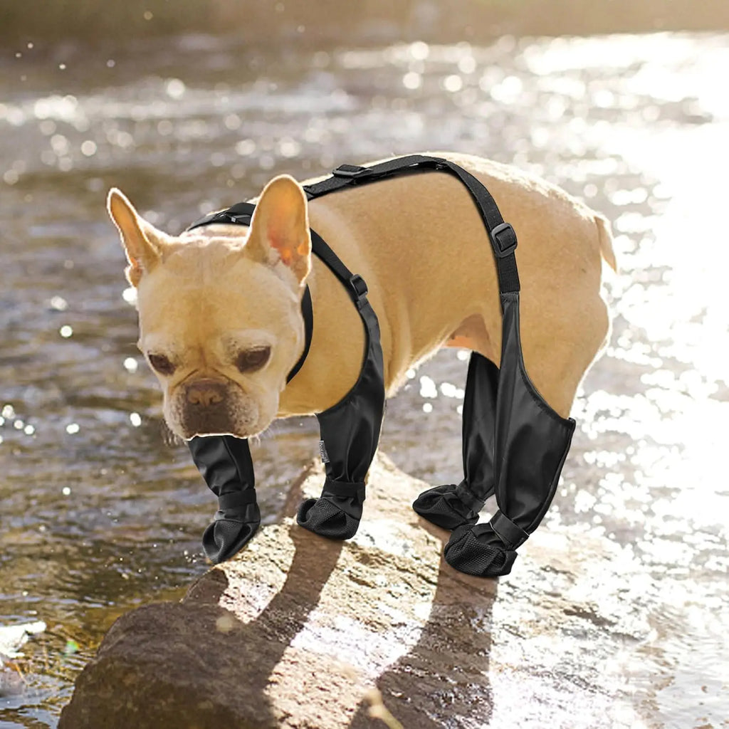 2025 Best Anti-Slip Dog Shoes Pet Paw Protector Dog Rain Booties, Dirty-proof & Anti-fall Dog Outdoor Dog Suspender Sock Shoes