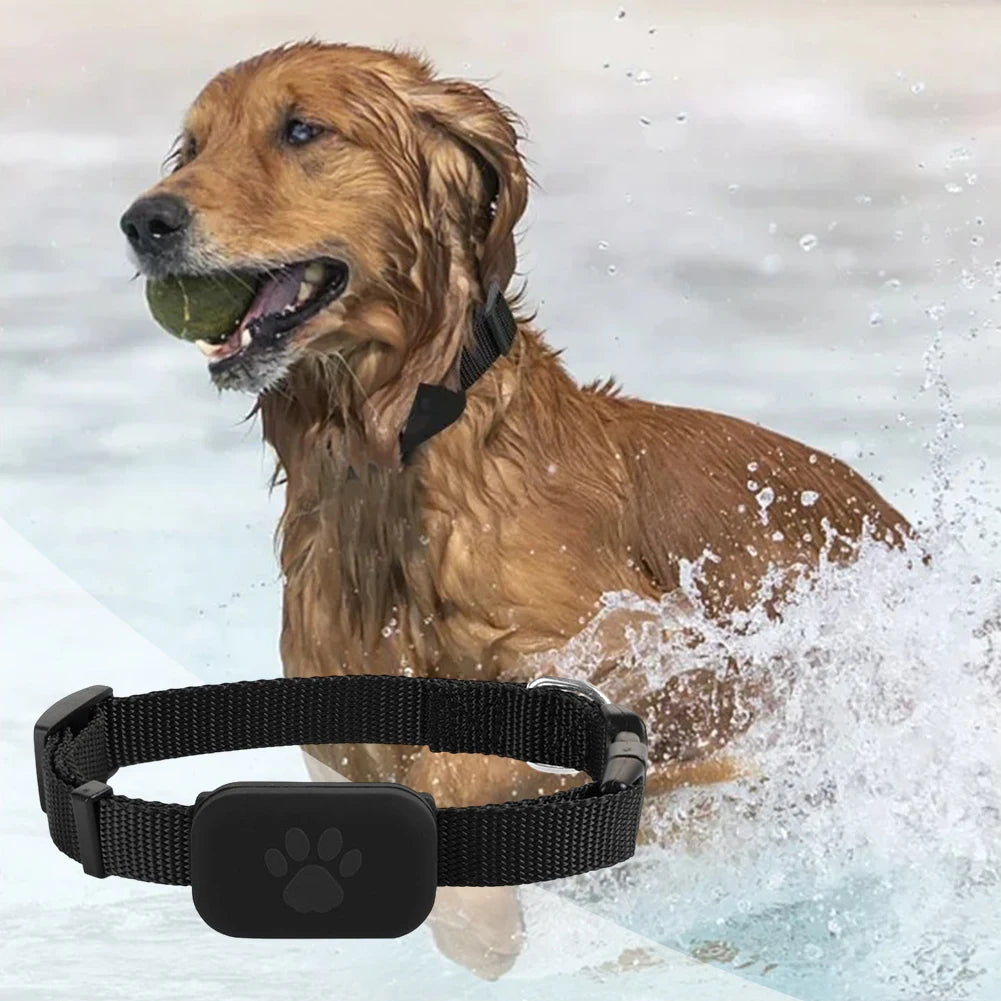 Pet GPS Tracker with Adjustable Collar Smart Pet Locator Cat Tracker for Dogs & Cats (Compatible with iOS/Android)