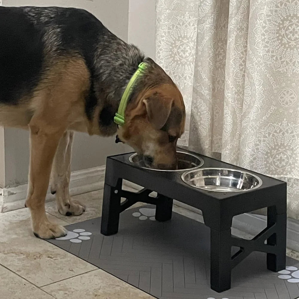 Elevated Dog Feeder Bowls Adjustable Raised Stand with Double Stainless Steel Food Water Bowls Small Medium Large Dogs