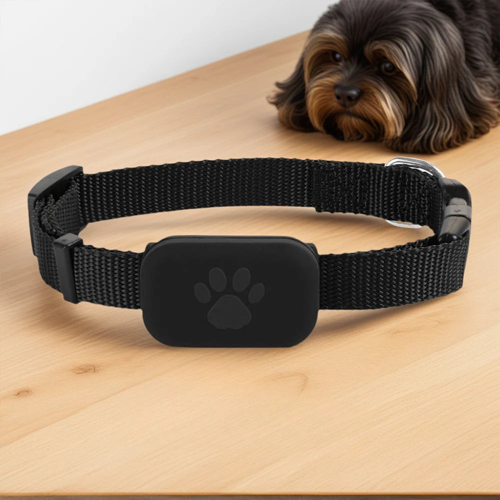 Pet GPS Tracker with Adjustable Collar Smart Pet Locator Cat Tracker for Dogs & Cats (Compatible with iOS/Android)