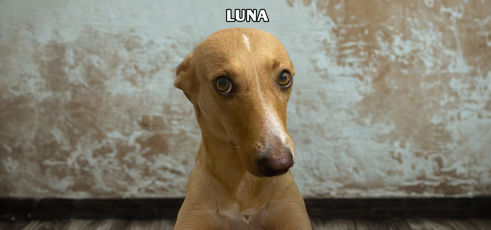 Luna